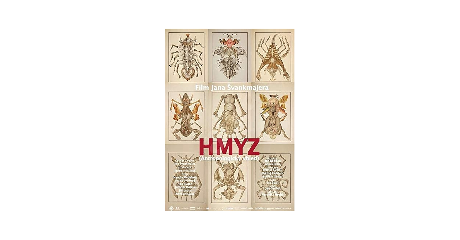 HMYZ JAN ŠVANKMAJER 映画 DVD Insects / Hmyz Jan Svankmajer DVD 2018: Amazon.ca: Movies